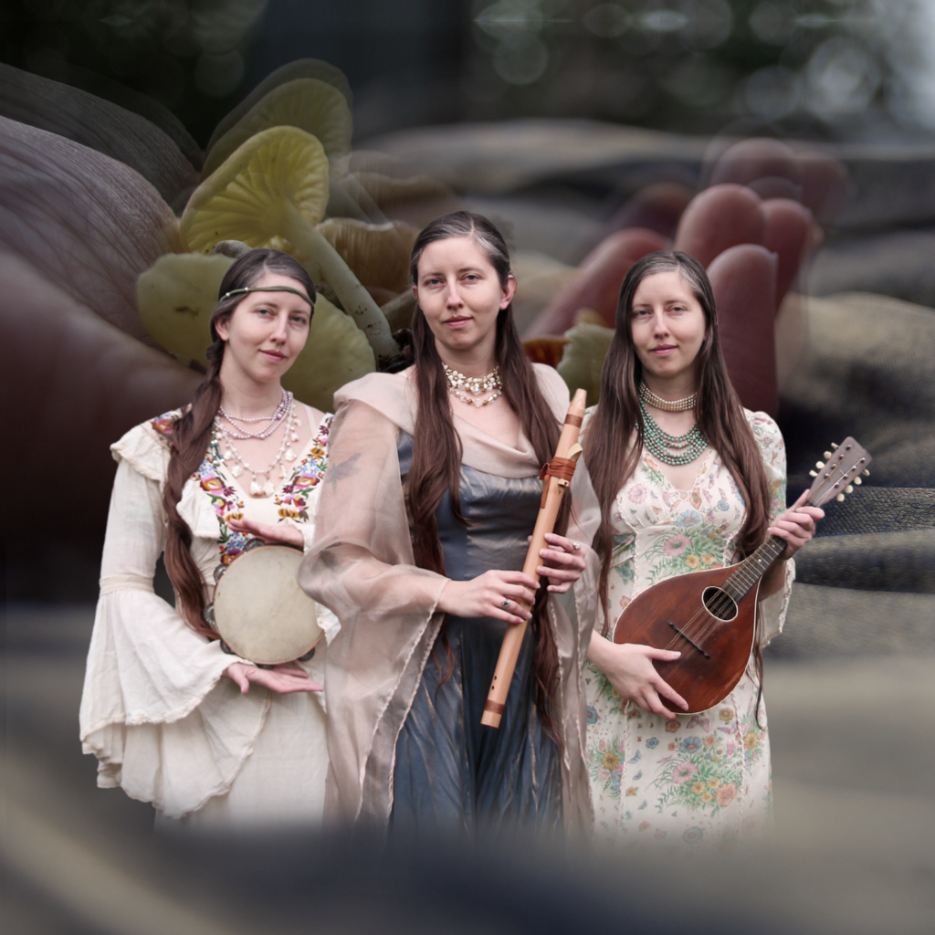 photo of fictional fantasy band deja vu